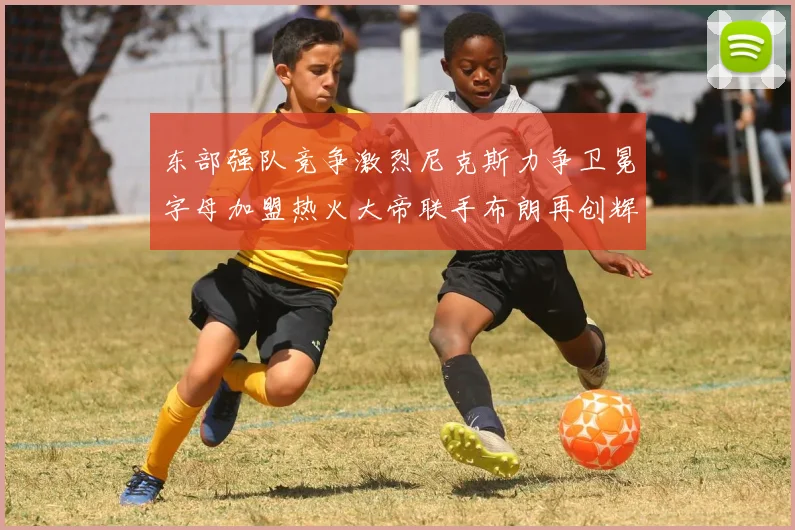 东部强队竞争激烈尼克斯力争卫冕字母加盟热火大帝联手布朗再创辉煌